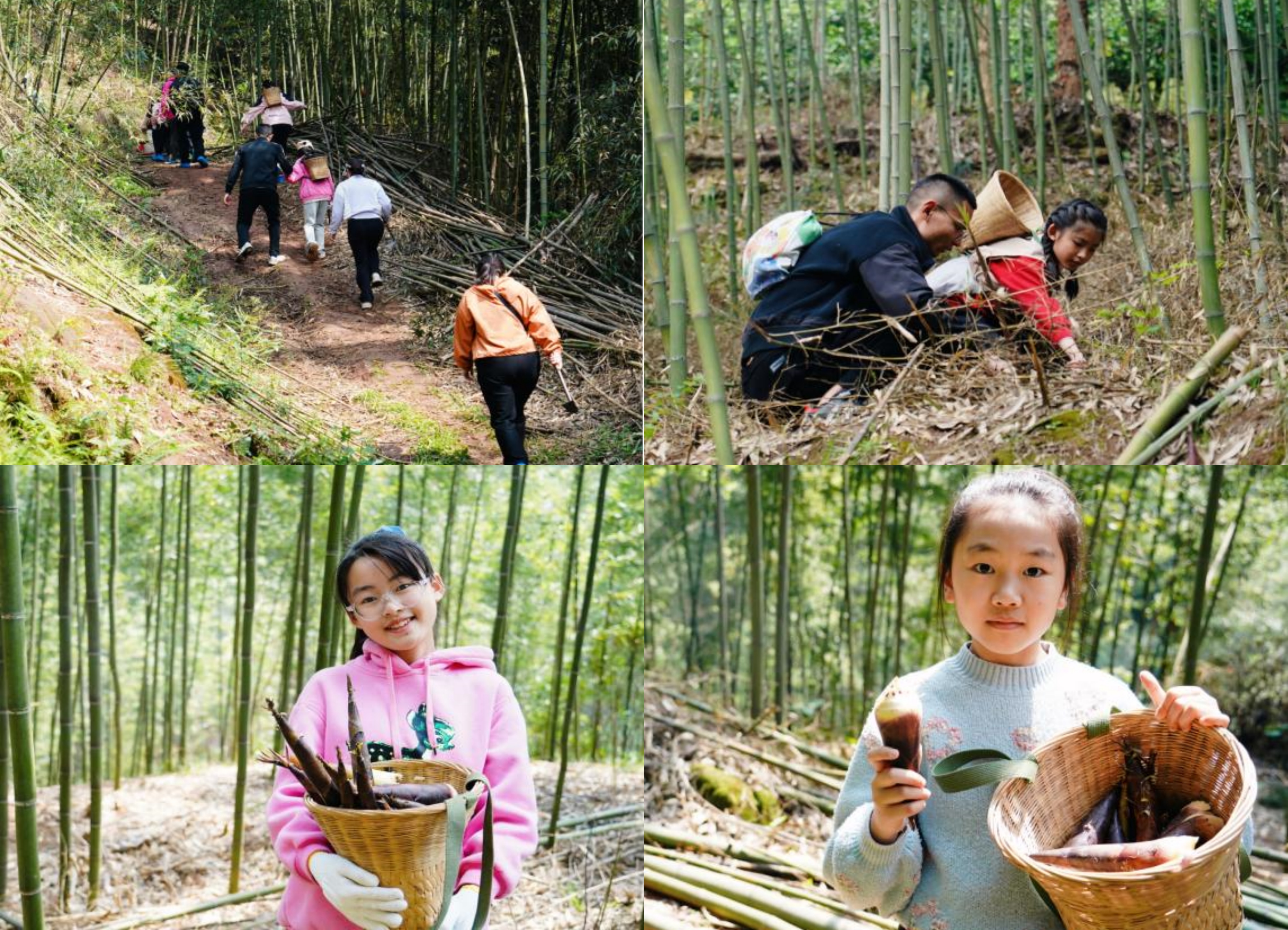 成都市新津区开展“津图乐游行”户外阅读推广活动(图4)