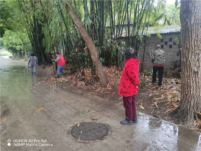 ​墙绘添彩聚合力 微治理赋能美乡村  --太和村开展微空间提质行动(图1)