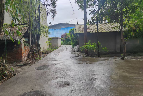 墙绘添彩聚合力 微治理赋能美乡村 --太和村开展微空间提质行动(图9)