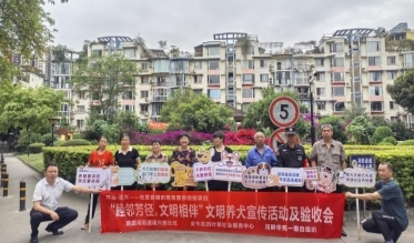 共治聚合力 微创惠民生——建兴路社区“共治·建兴”项目激活基层治理新动能(图14)