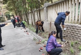 共治聚合力 微创惠民生——建兴路社区“共治·建兴”项目激活基层治理新动能(图16)