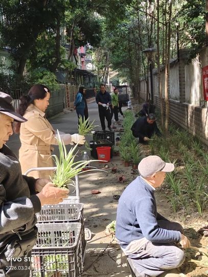 共治聚合力 微创惠民生——建兴路社区“共治·建兴”项目激活基层治理新动能(图15)