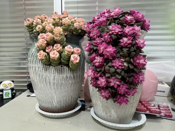 鲜花伴岁月，温情暖桑榆——曹家巷社区情暖高龄独居老人(图2)