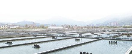 竞逐农业新赛道 乐山做好增值大文章(图2)