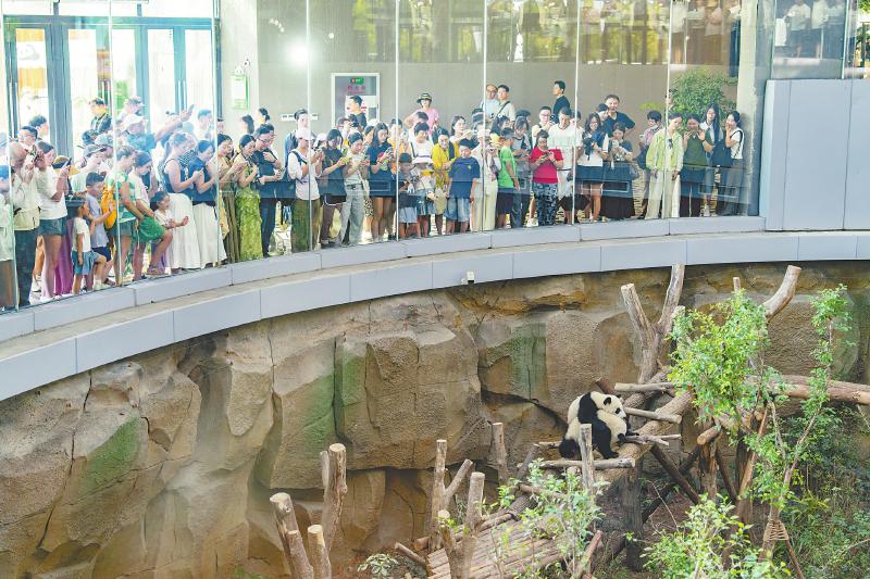 在四川参访人工智能 嘉宾们有哪些“想不到”(图1)