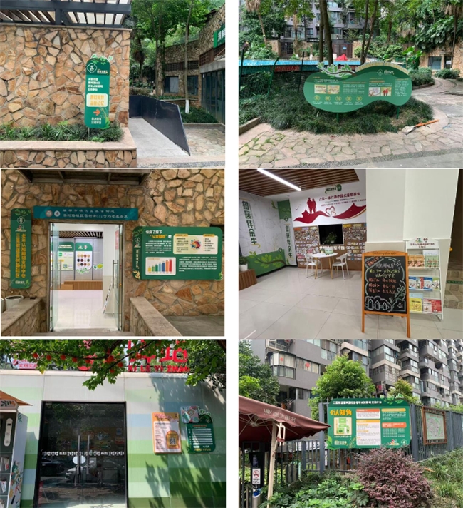 守护老年认知健康 打造暖心友好社区——三圣街道喜树路社区认知障碍友好社区建设纪实(图5)