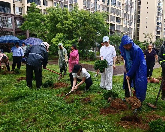攀枝花市盐边县红格村合盛康悦小区环境微治理绘就安居新图景(图2) 微信图片_20260822151131_91_2.jpg