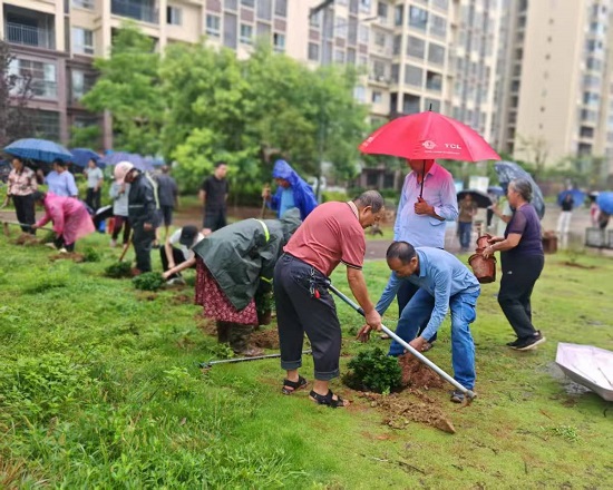 攀枝花市盐边县红格村合盛康悦小区环境微治理绘就安居新图景(图3) 微信图片_20260822151150_93_2.jpg