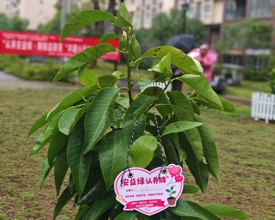 攀枝花市盐边县红格村合盛康悦小区环境微治理绘就安居新图景(图4) 微信图片_20260822151136_92_2.jpg