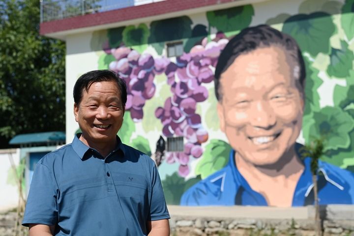 农民画描绘七十载乡村蝶变(图24)