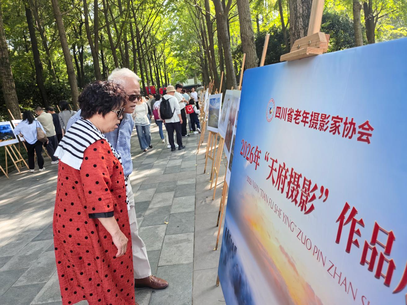 图片8.png
