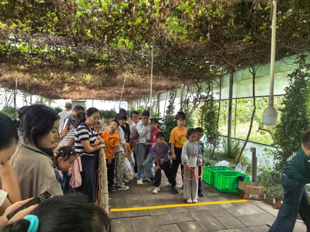 “津图乐游行”--活动回顾 |  月满蔬香・拾野耕趣(图2)