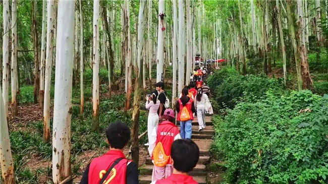 秋高气爽去爬山！公园路社区这场“睦邻健康”活动超暖心(图7)
